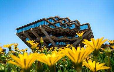 Photo of Geisel Library with spring flowers
